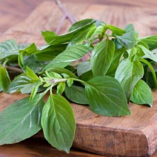 A bunch of fresh basil on a wooden table
