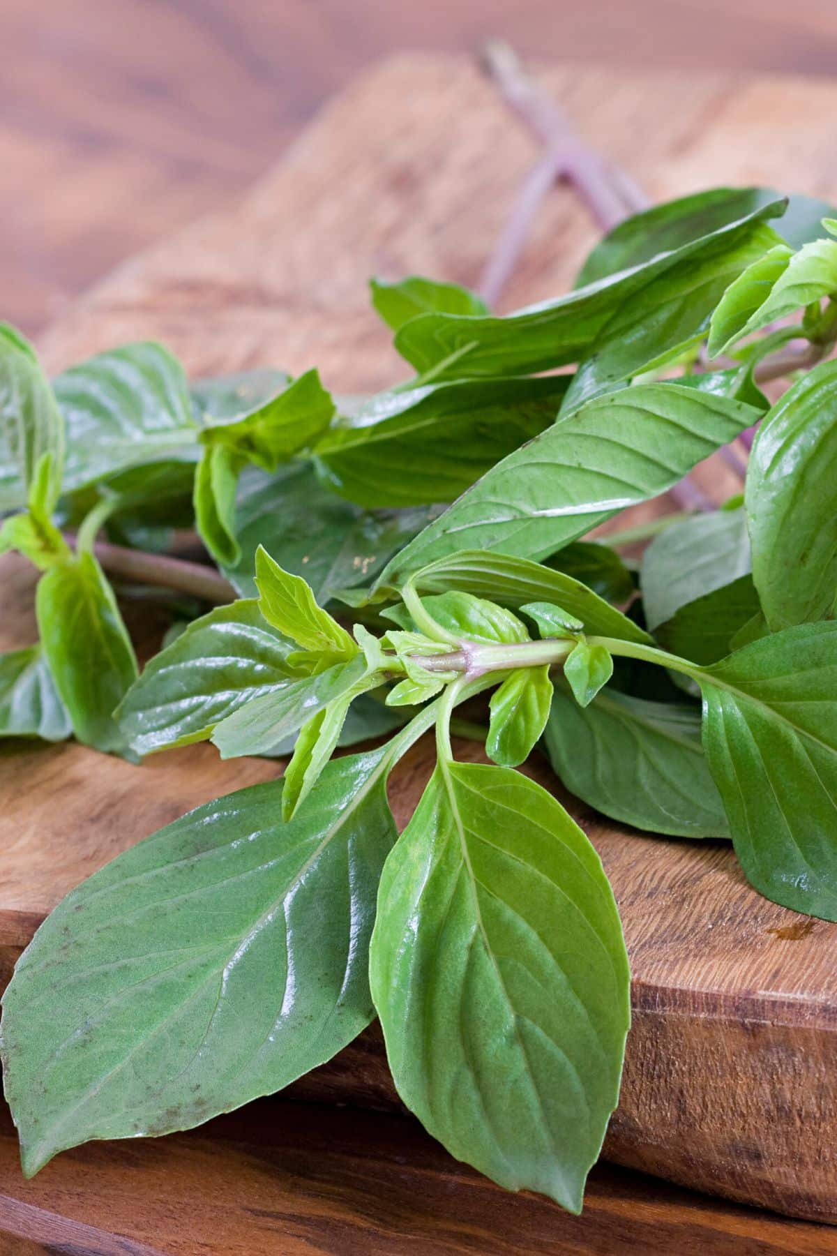 A bundle of fresh basil on a wooden table.