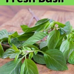 A bunch of fresh basil on a wooden table with text.