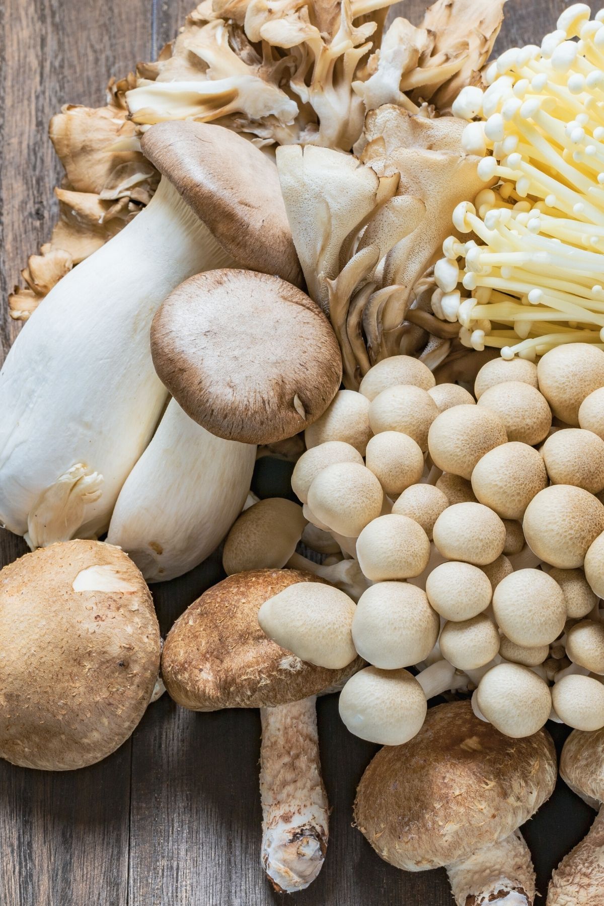 variety of mushrooms on table.