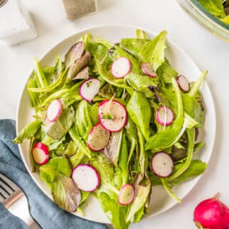 A dinner plate of baby romaine salad with radishes.