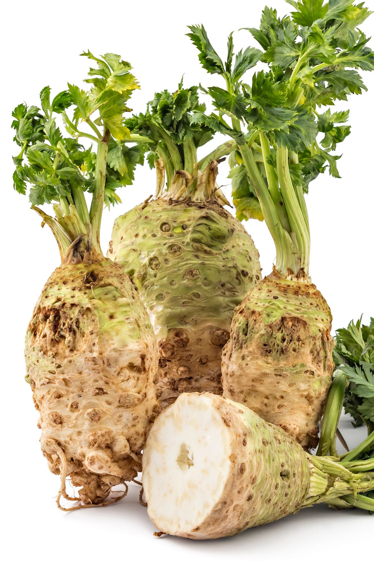 Celery roots with a celeriac sliced in half.