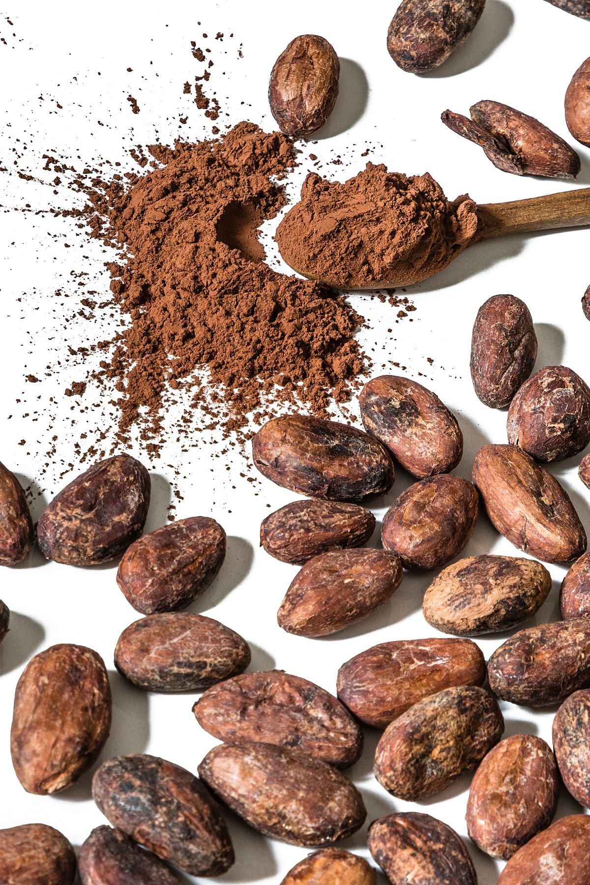 Cocoa beans on a white surface.