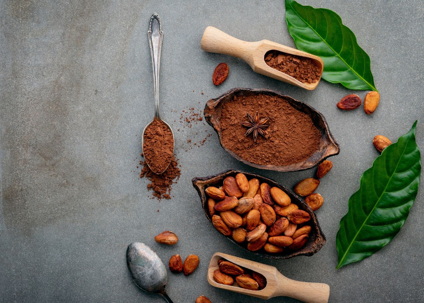 Confused about Cocoa Powder? Here's Your Guide.