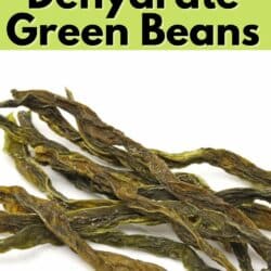dehydrated green beans pin.