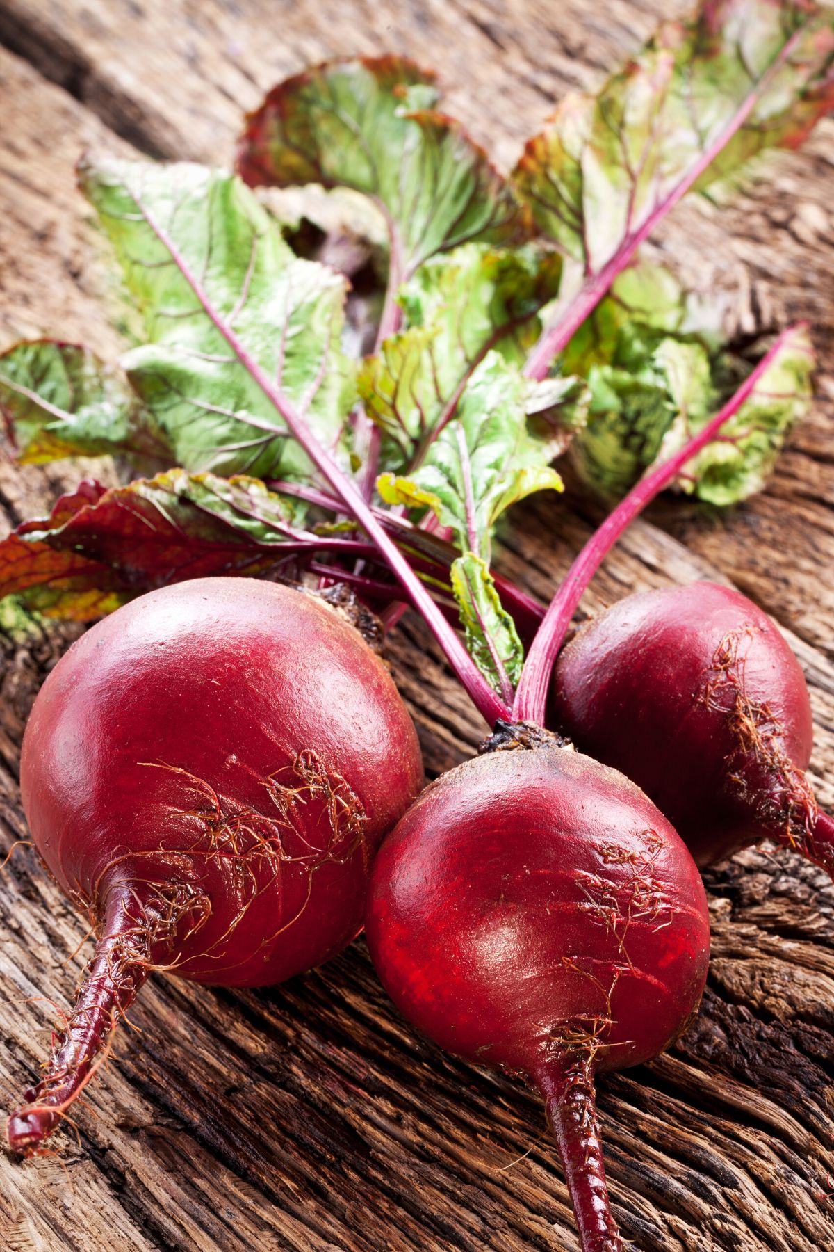 Fresh beets with greens on a wooden table.