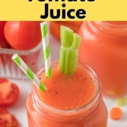 Large handled mason jar with tomato juice that has two straws and a celery stalk.