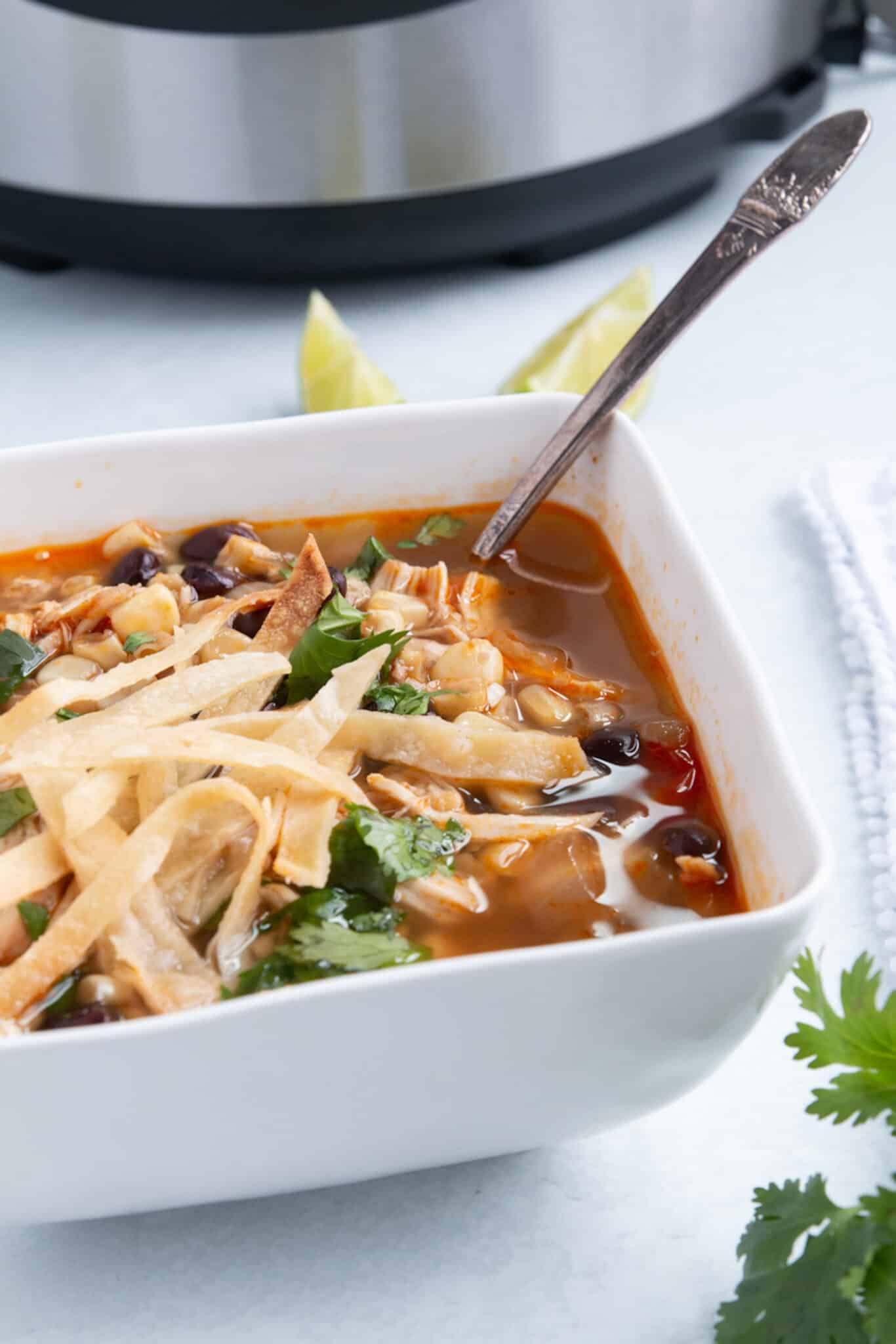 bowl of chicken soup topped with crispy corn tortilla strips.