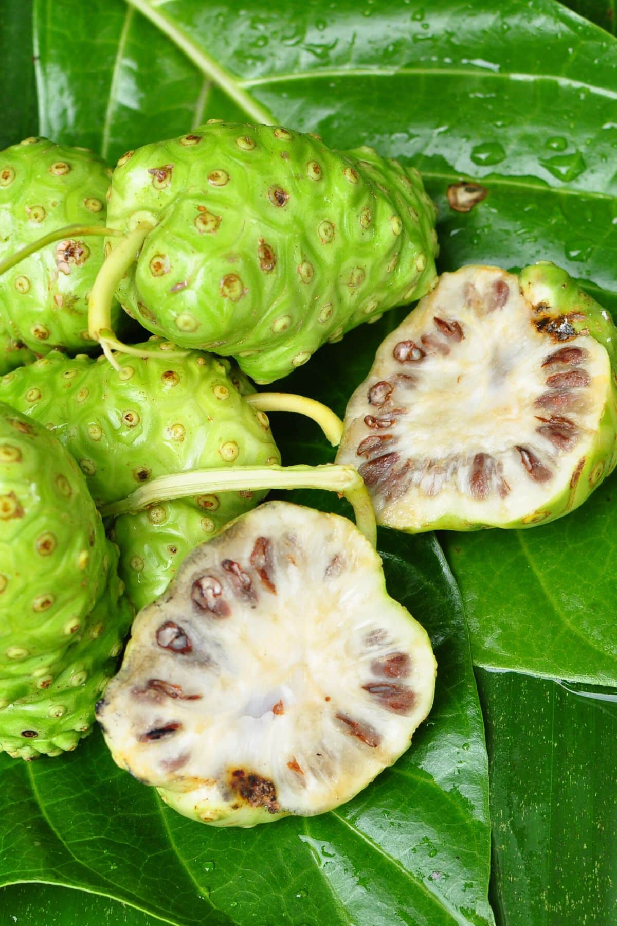 noni fruits cut in half ready to eat.