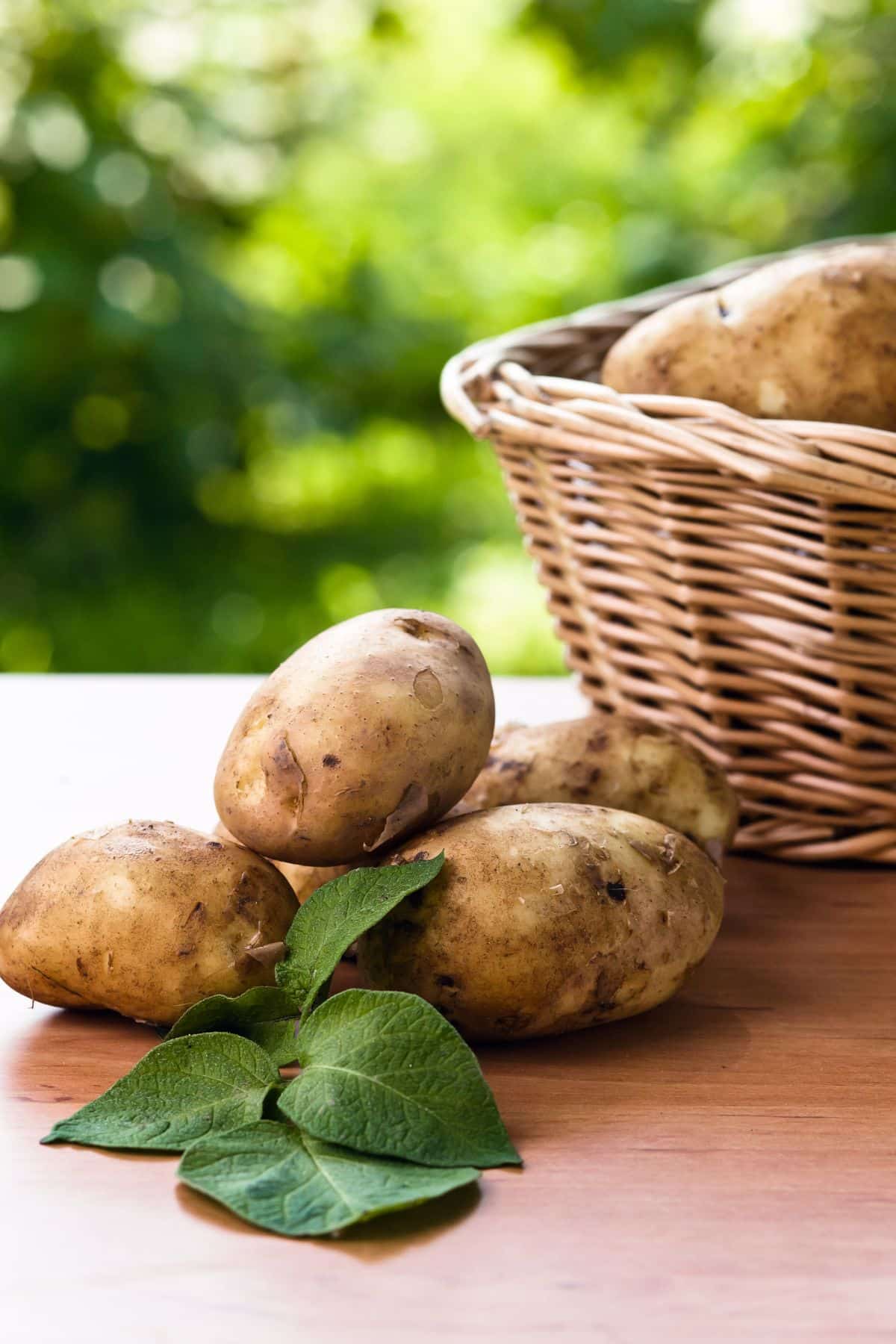 Potatoes in basket and on wooden table.