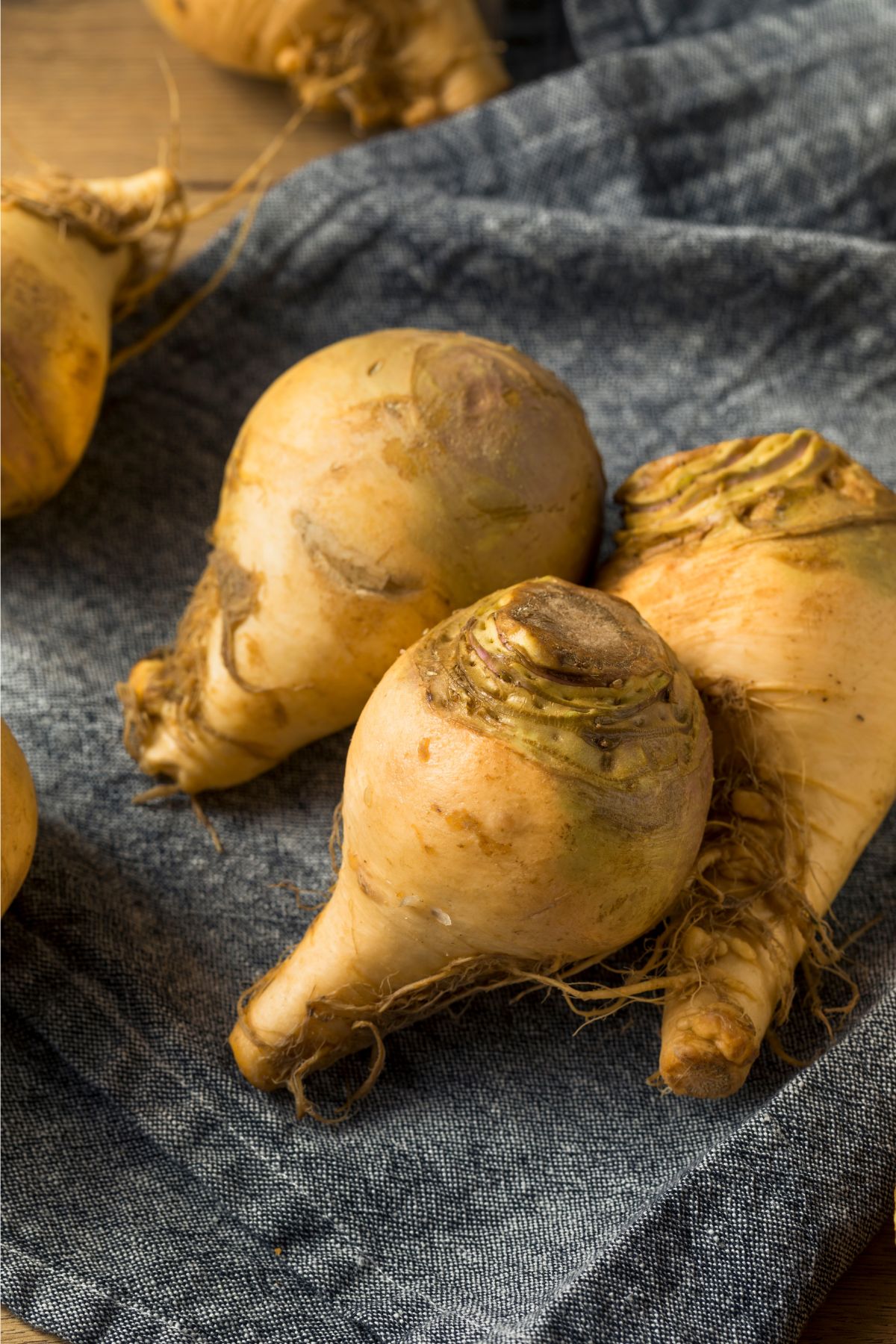 Whole rutabaga on a dark gray towel.