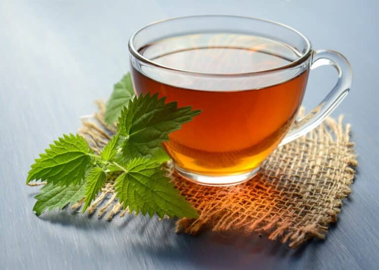 Glass teacup with tea and mint leaves.