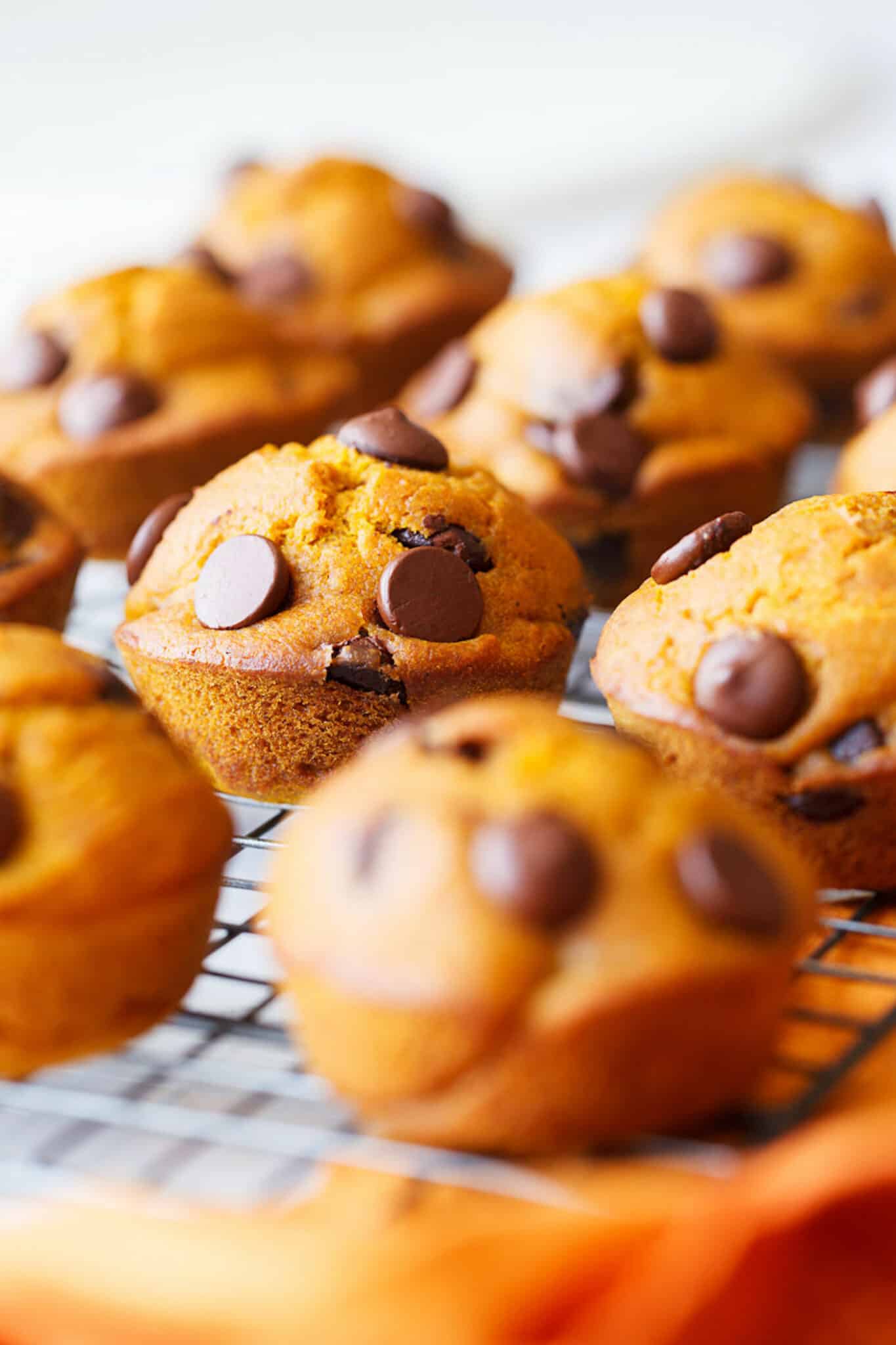 gluten-free pumpkin muffins with chocolate chips on a cooling rack.
