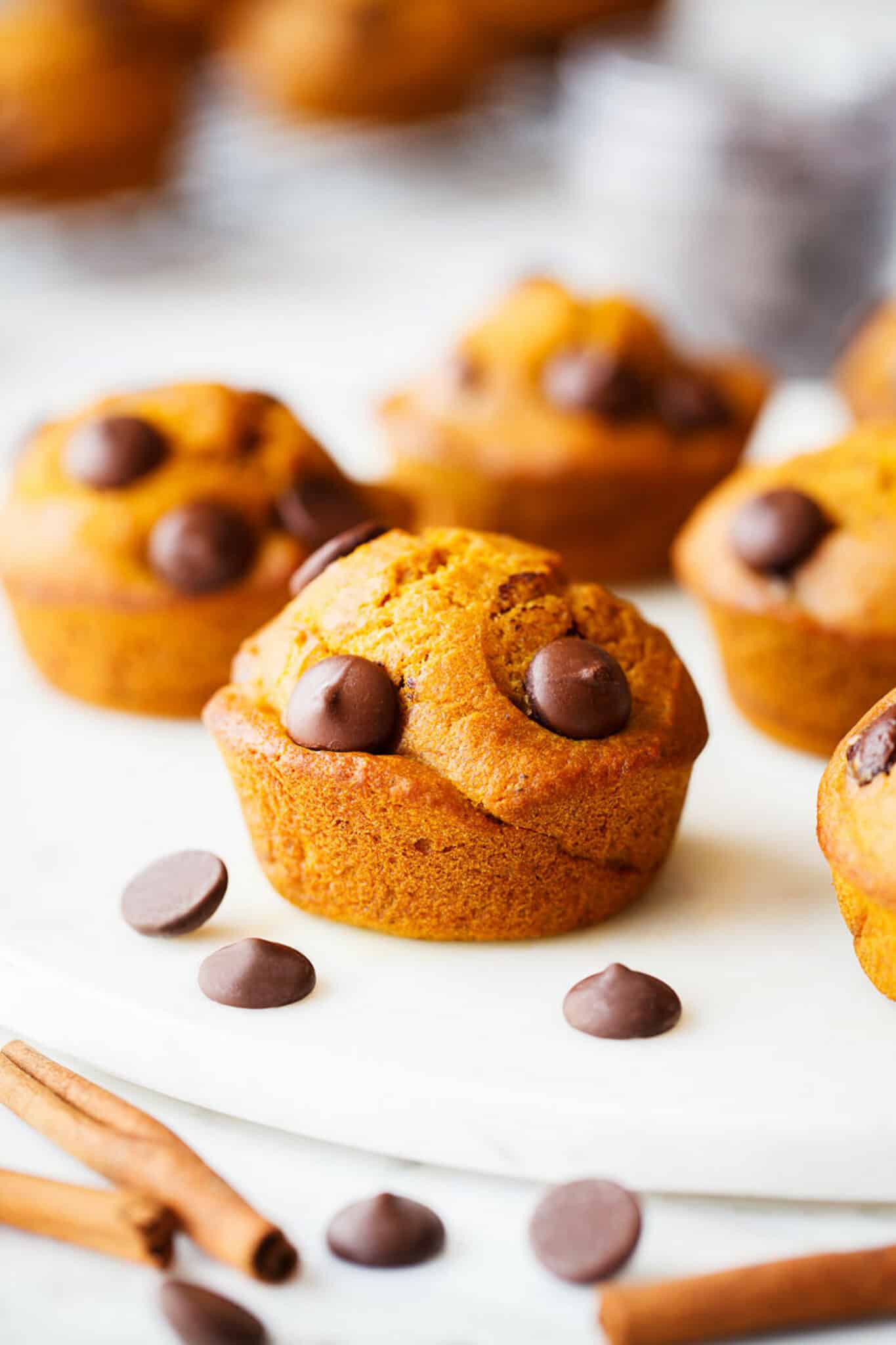 batch of gluten-free pumpkin muffins surrounded by cinnamon sticks and chocolate chips.