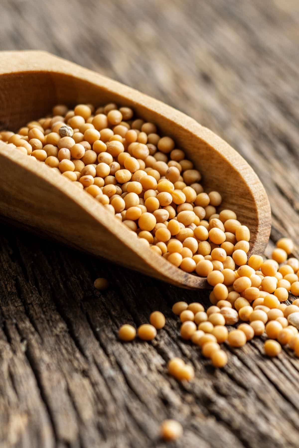 Scoop of yellow mustard seeds on wooden surface.