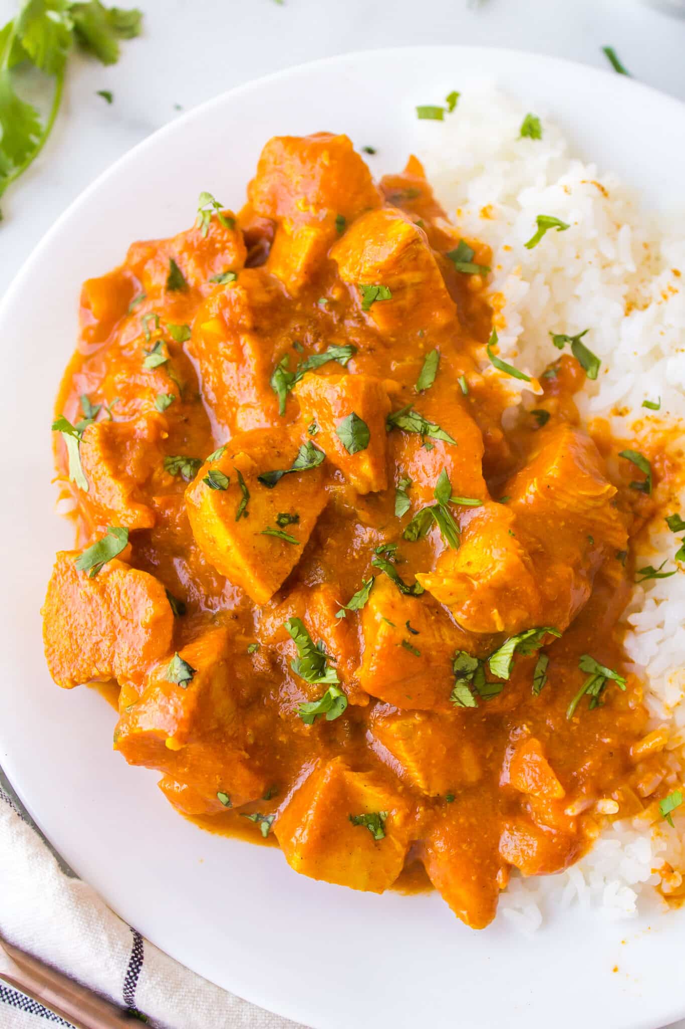 A white dinner plate loaded with white rice and chicken curry.