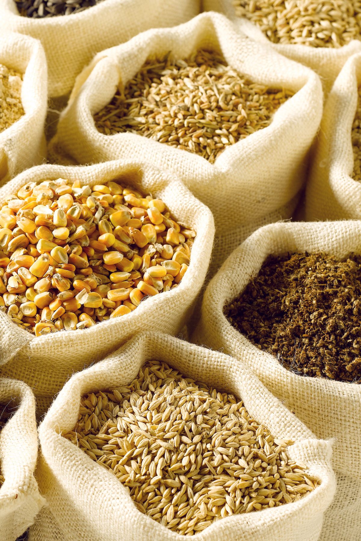 individual bags of different types of grains.