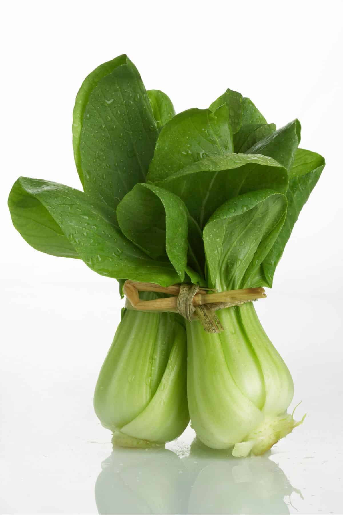 Stalks of Bok choy tied together on white background.