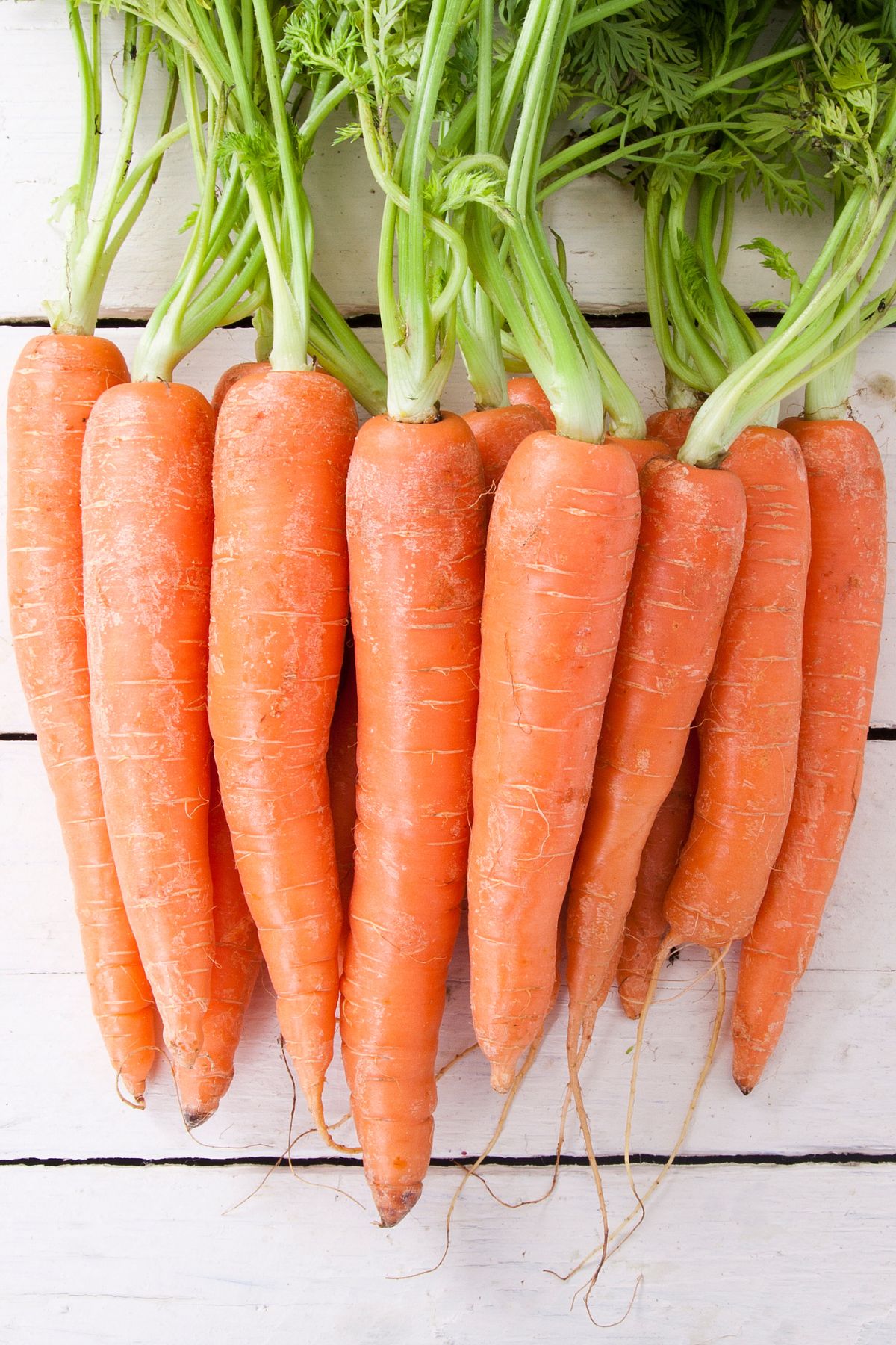 Fresh carrots with their greens on a white wooden surface.