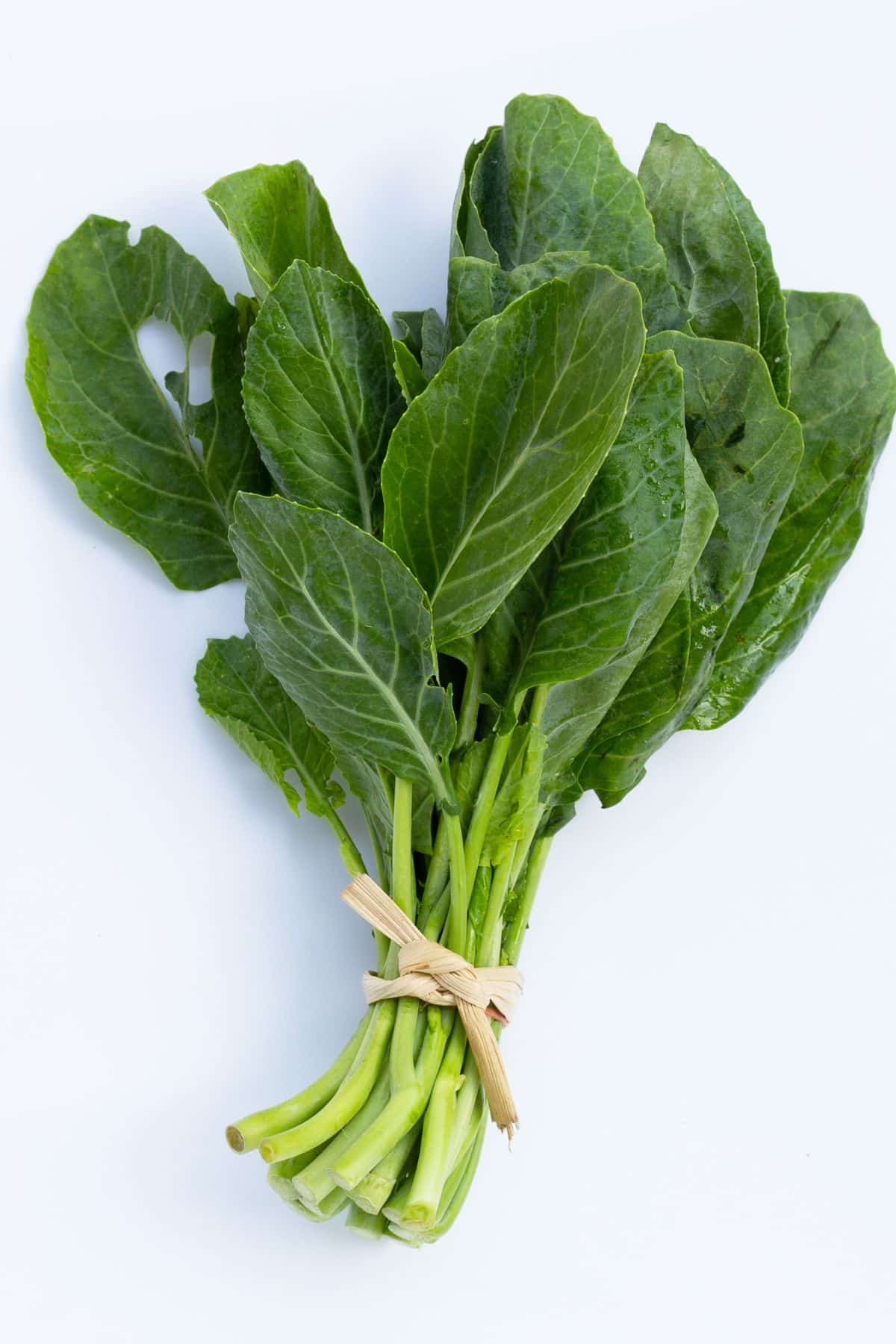 Tied bunch of collard greens on light background.