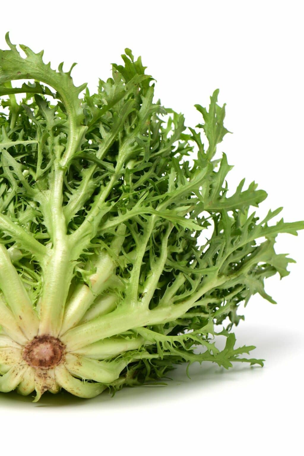 9 Substitutes for Escarole in Cooking Clean Eating Kitchen