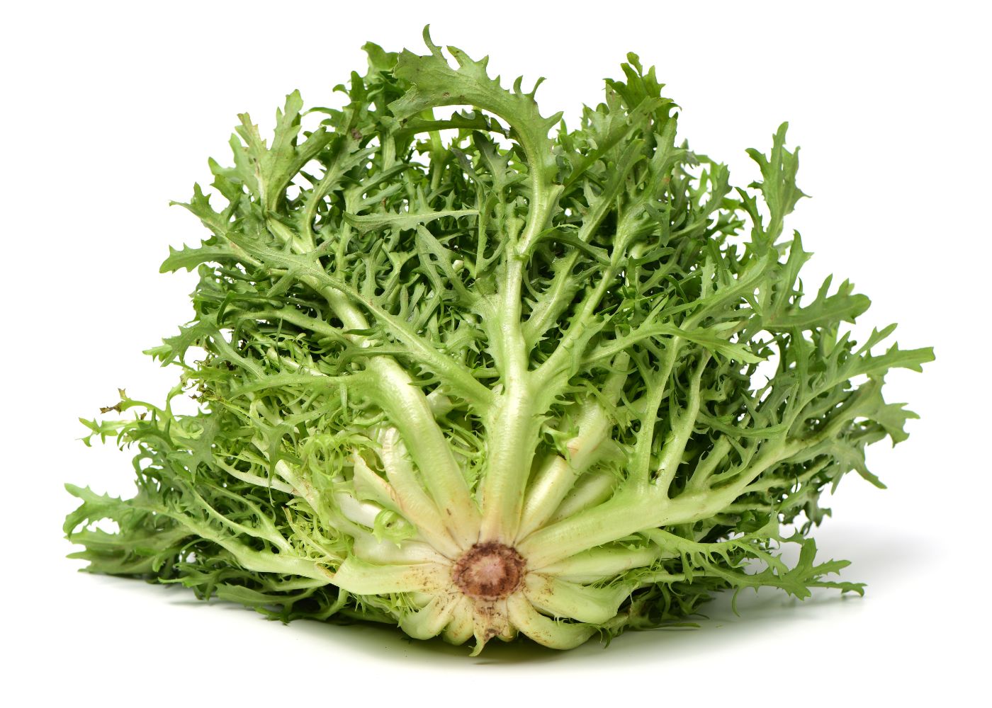 9-easy-to-find-substitutes-for-escarole-in-cooking-clean-eating-kitchen