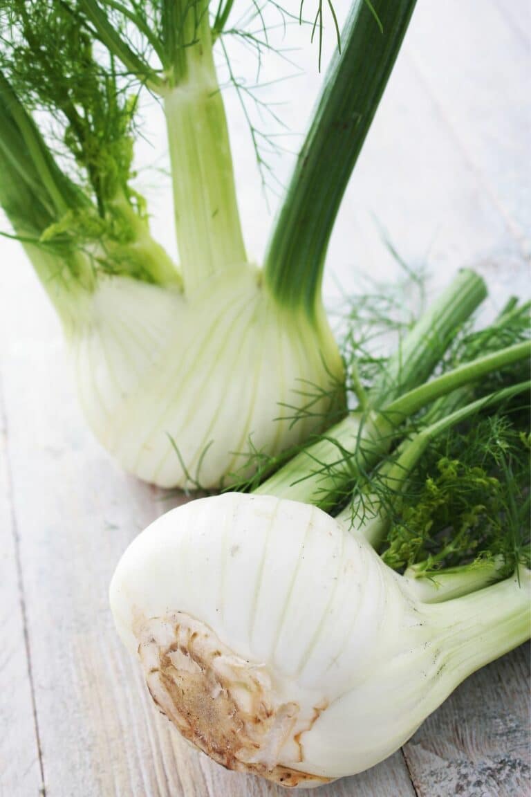 11 Substitutes for Fresh Celery in Cooking Clean Eating Kitchen