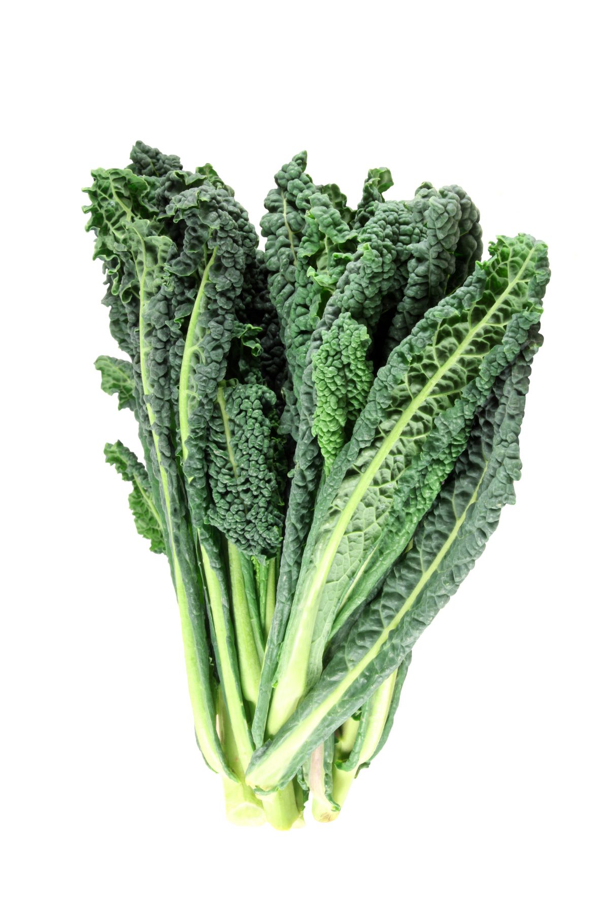Bunch of Kale on white background.