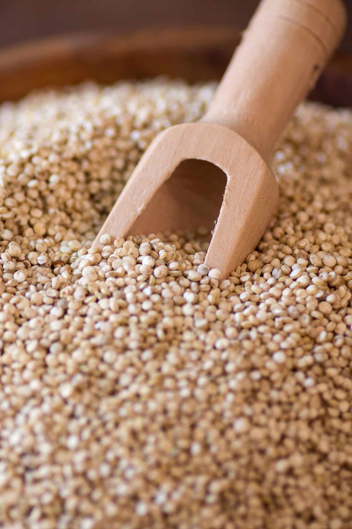 a scoop in a large bowl of quinoa.