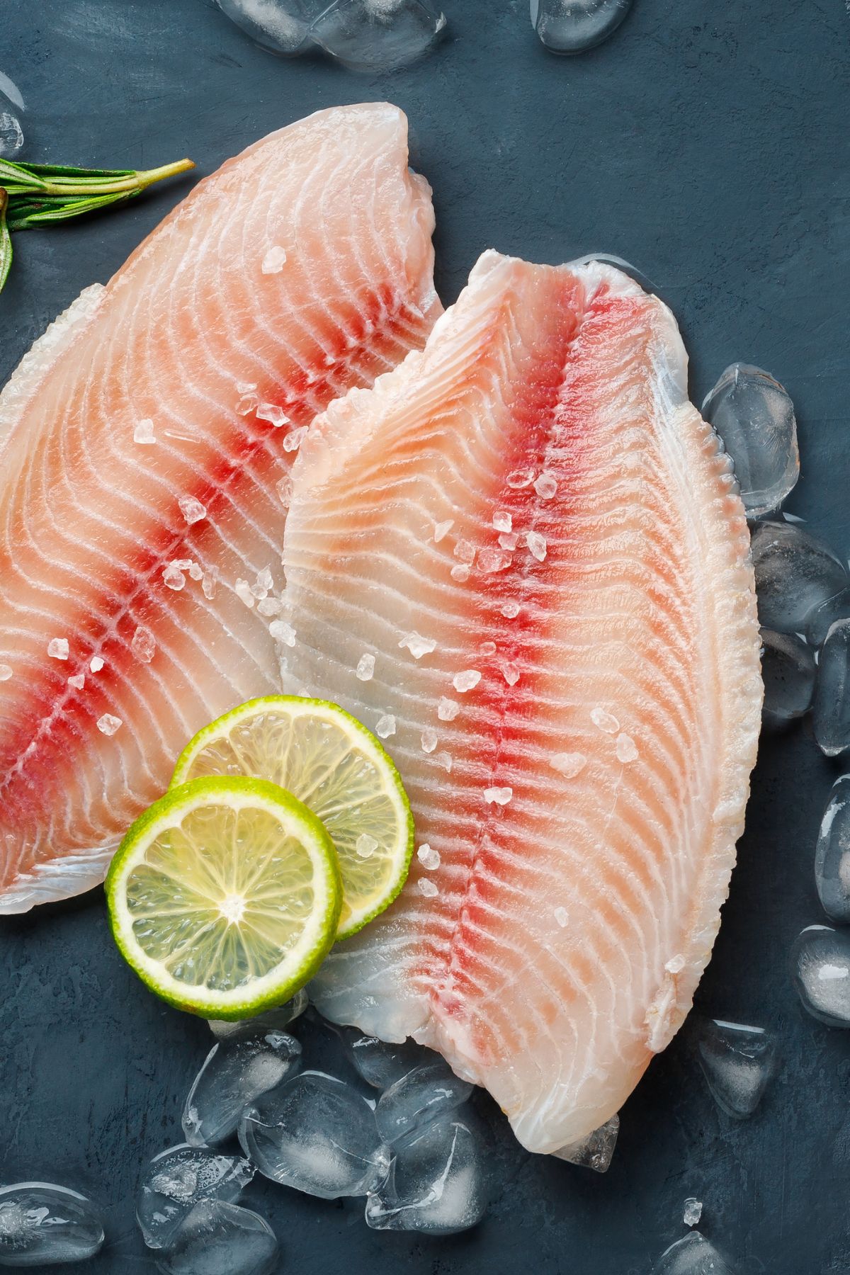 Sea bass fillets with ice cubes, salt and lime slices.
