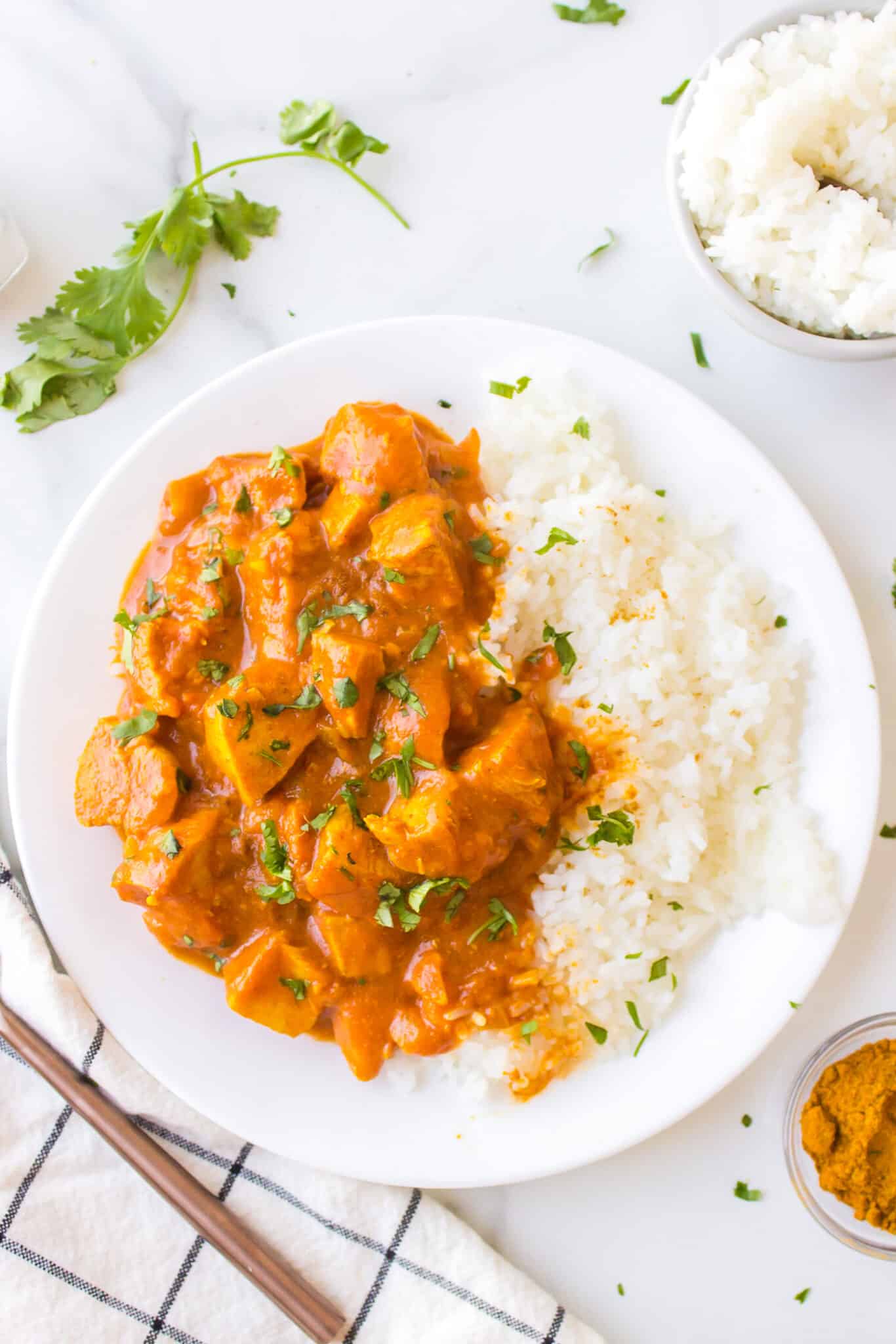 plate with simple chicken curry and rice.