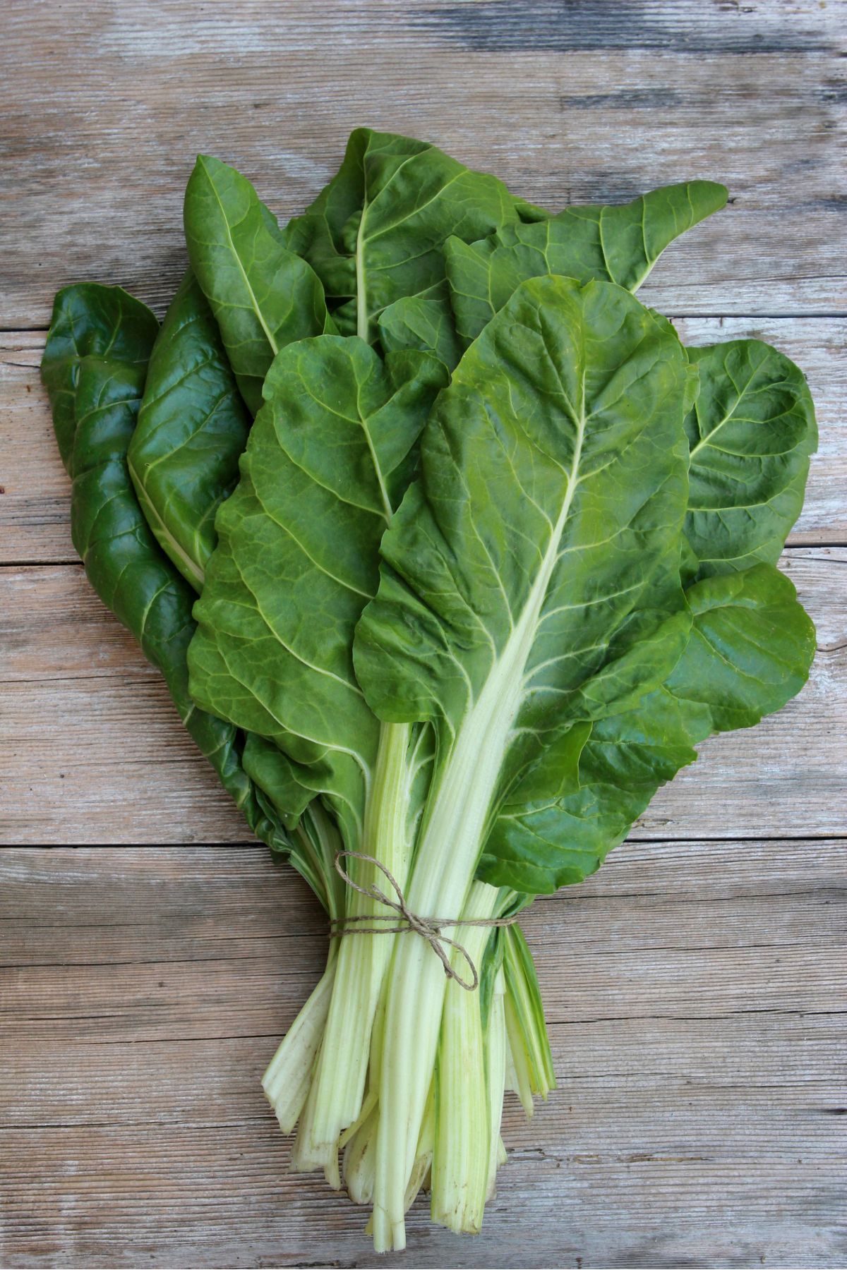 Bunch of Swiss chard on wooden surface.