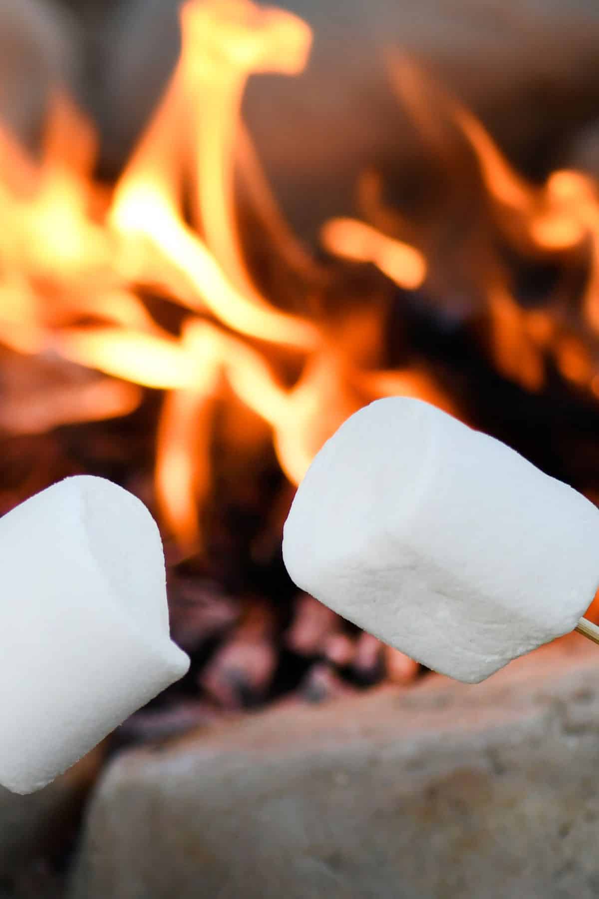 Two marshmallows in front of a fire pit.