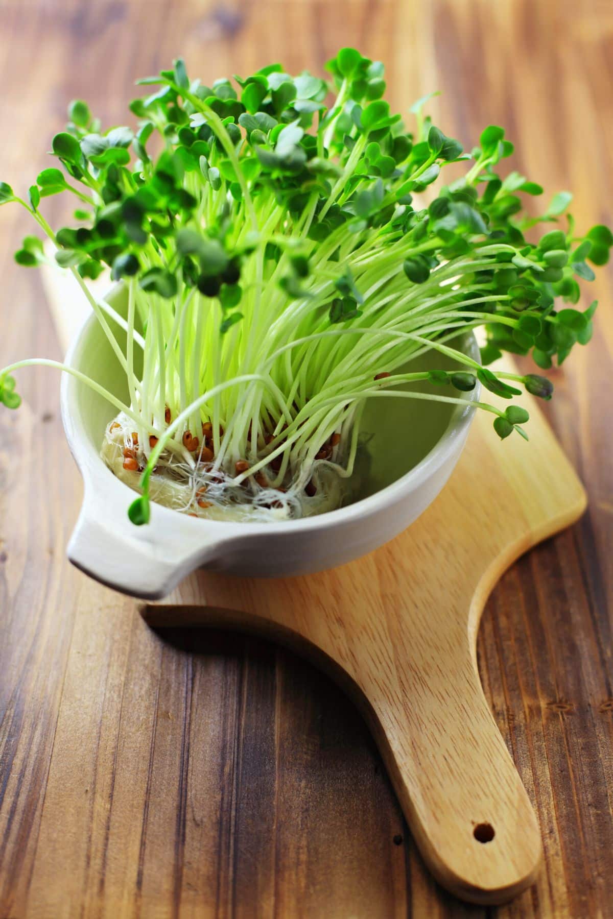a bowl of broccoli microgreens on a wooden cutting board.