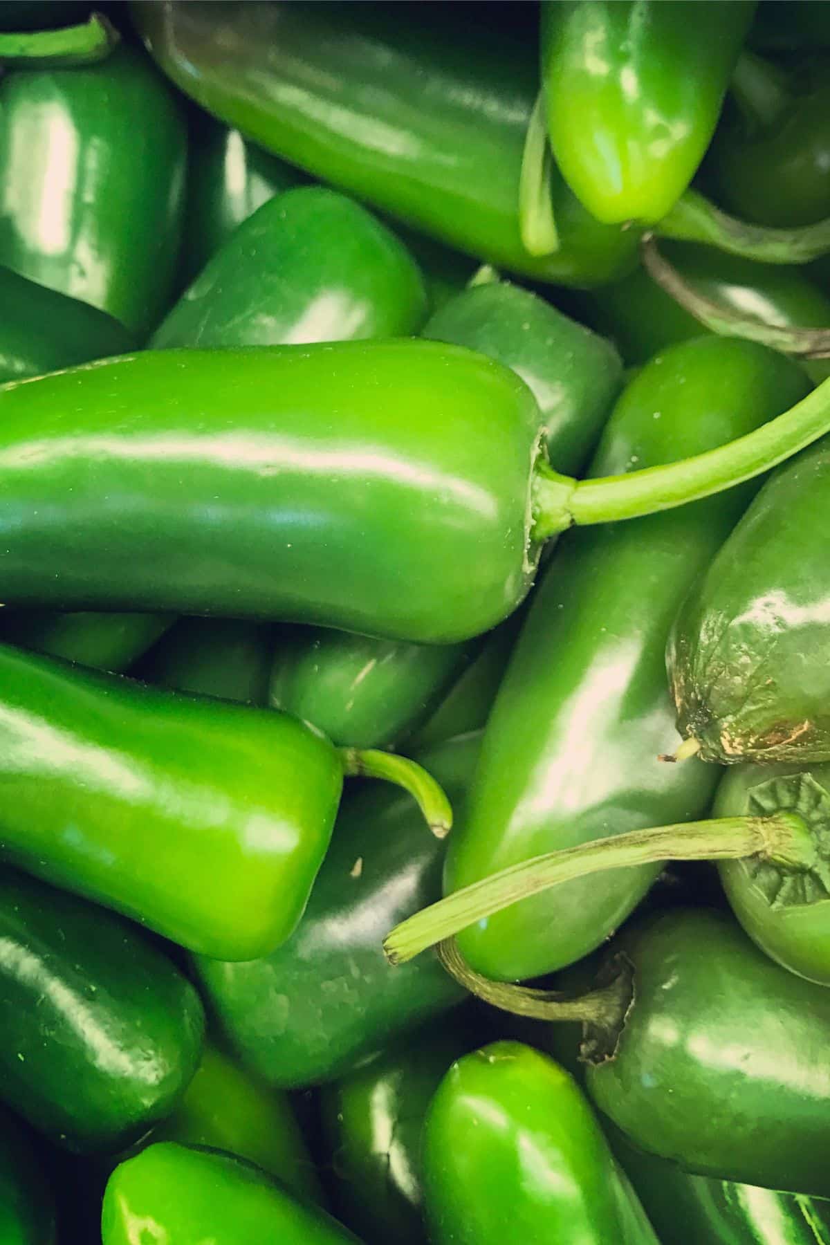 a close-up of many jalapeños.