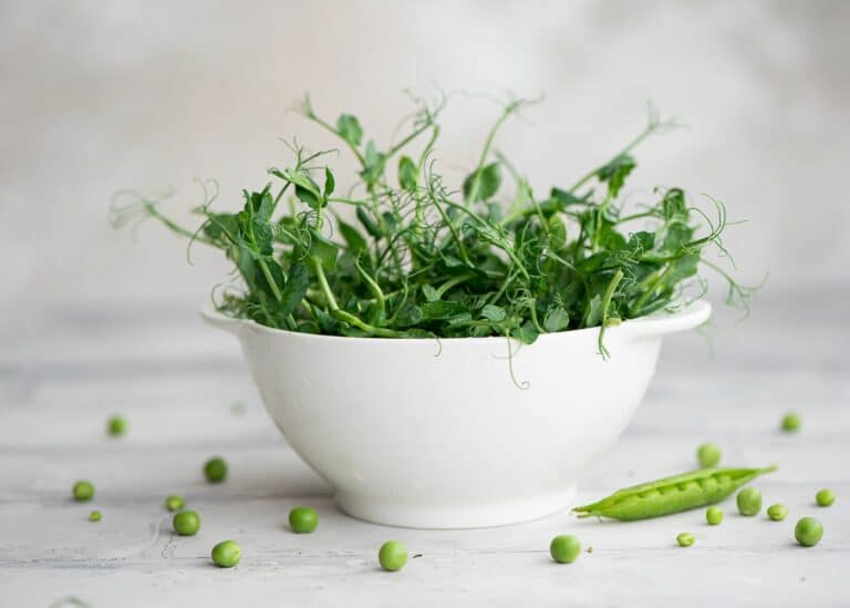 a bowl of pea microgreens.