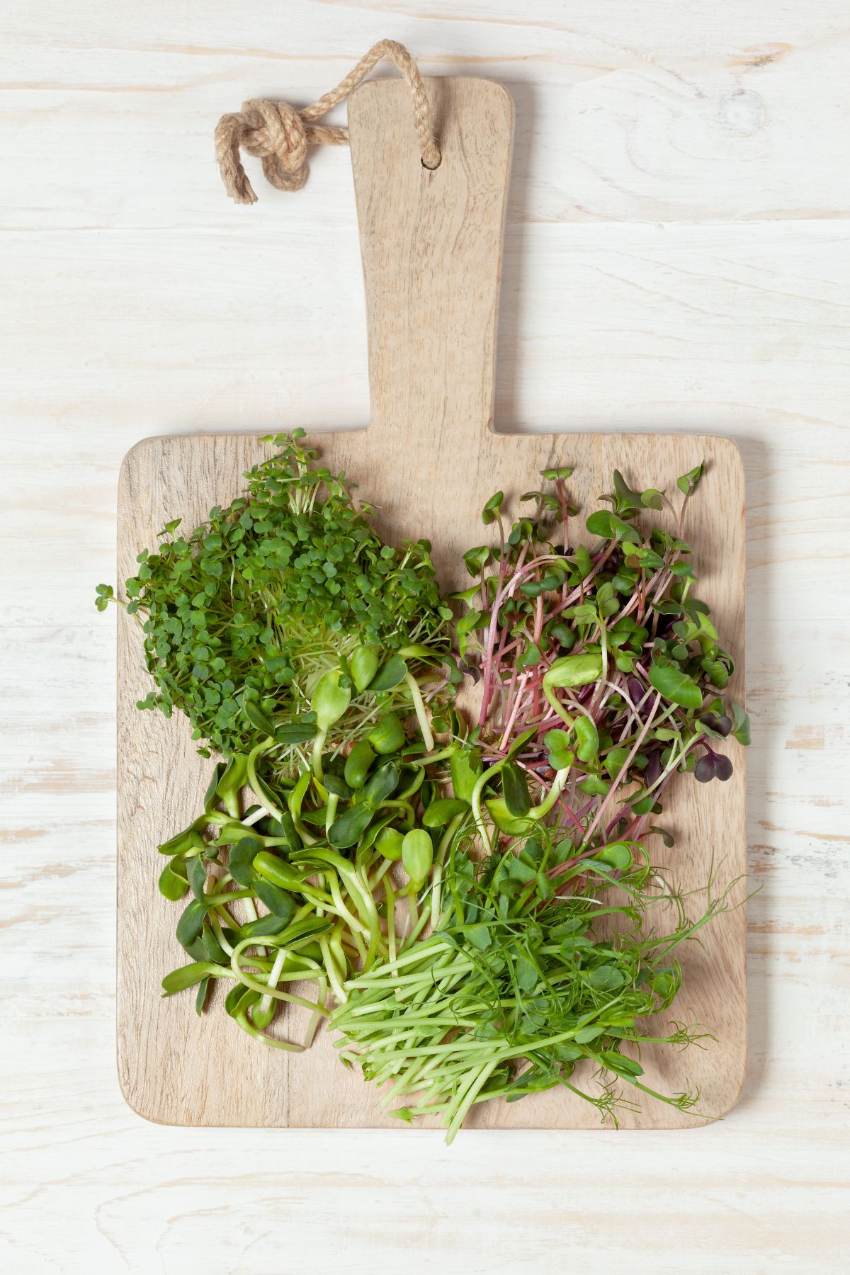 a variety of microgreens on a cutting board.