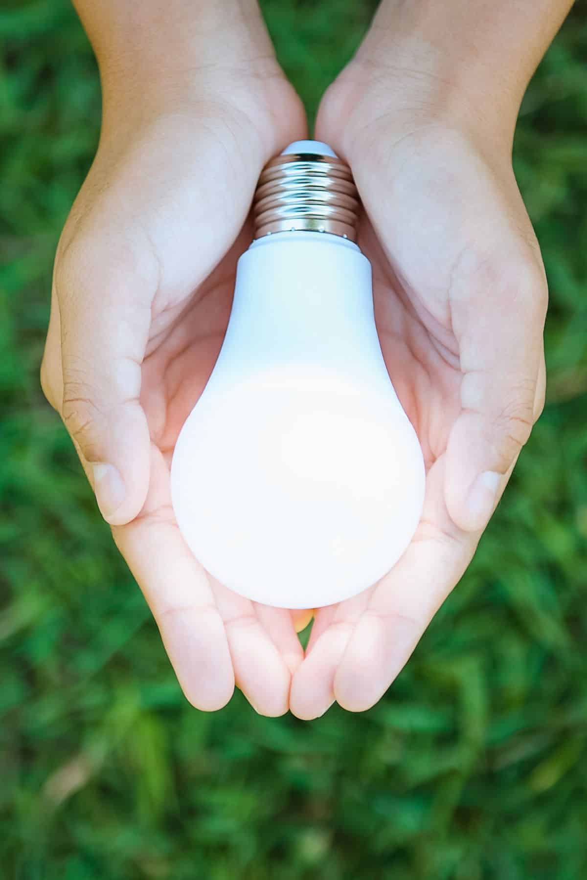 a person holding a light bulb in two hands.