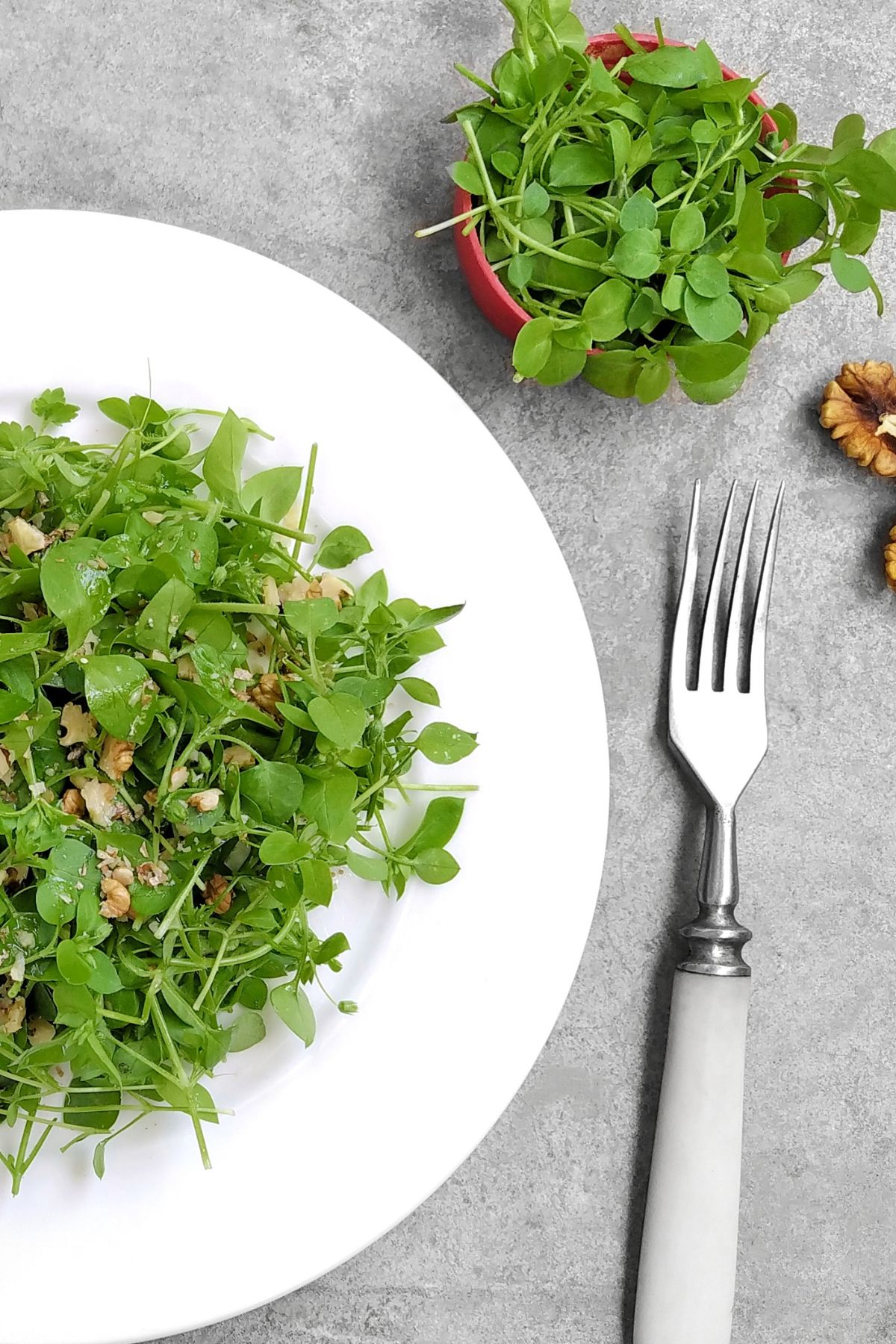 a salad with microgreens.