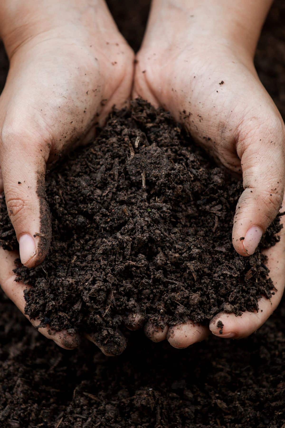 a person holding soil in two hands.