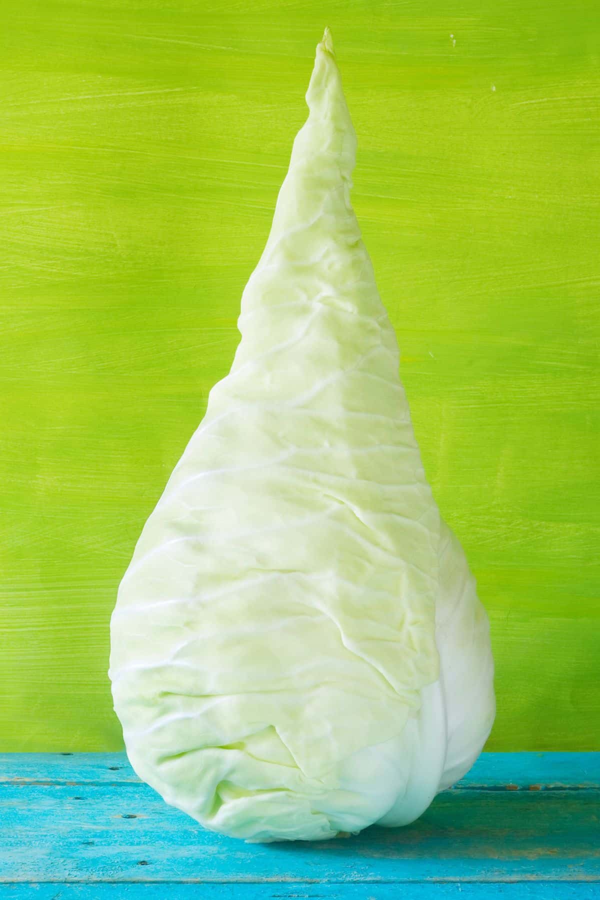 a hispi cabbage on a green background.
