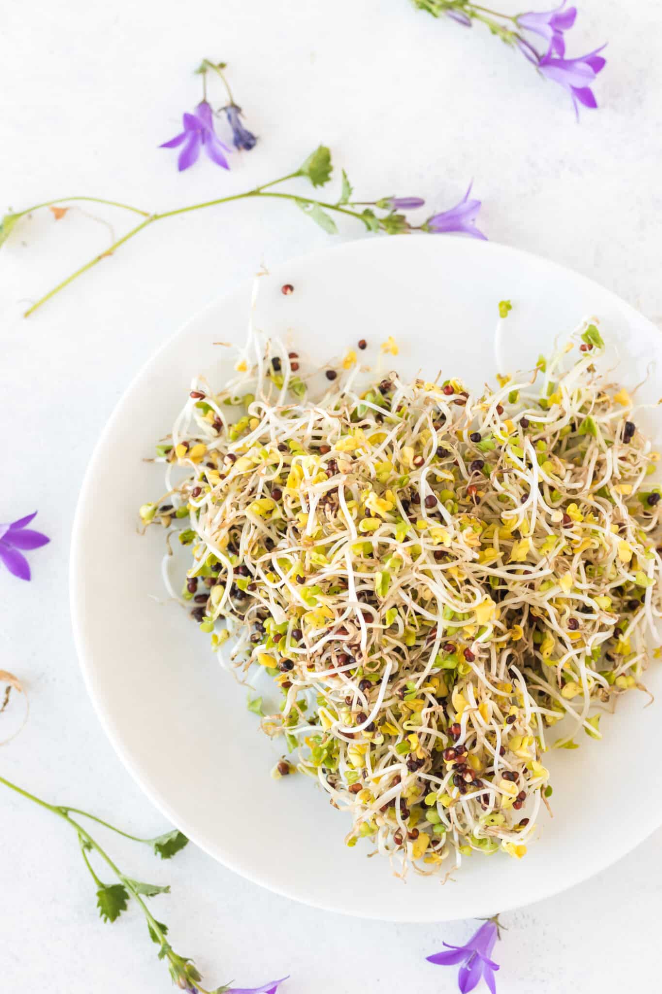 fresh broccoli sprouts in a bowl on table with purple flowers.
