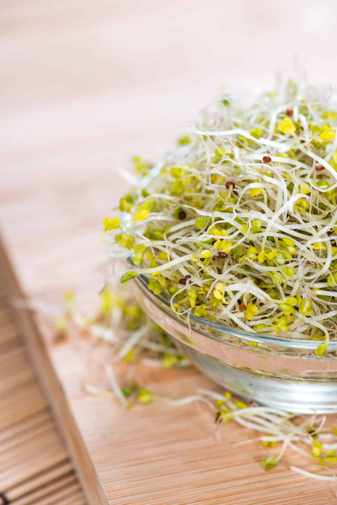 broccoli sprouts in bowl on wooden table ready to eat.