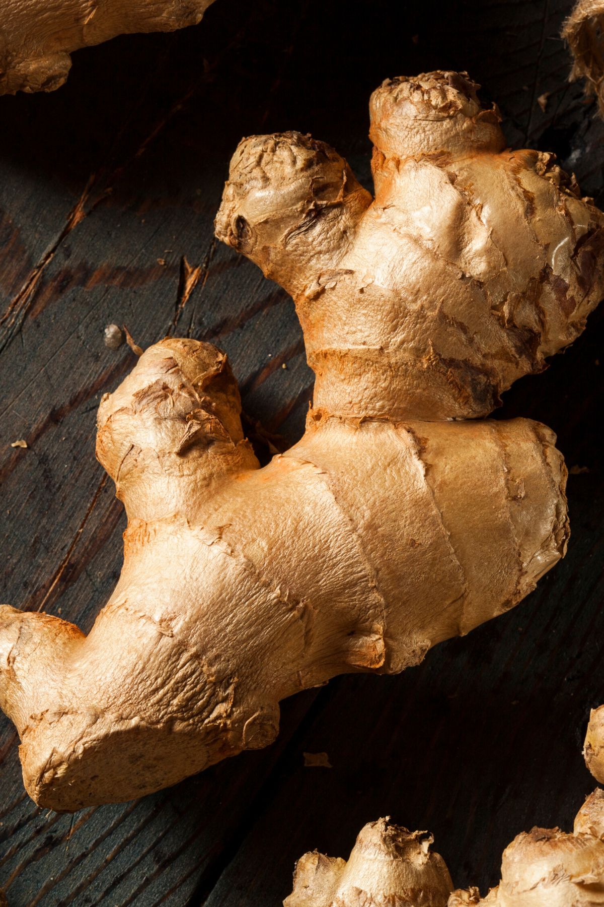 fresh ginger root on table.