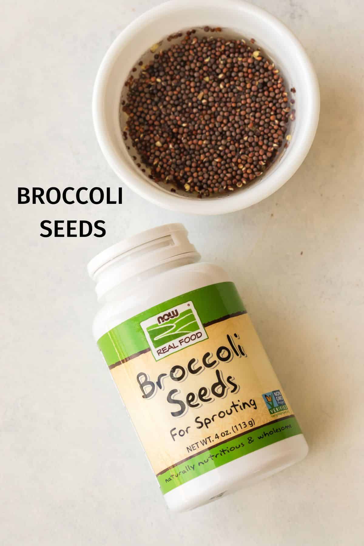 ingredients needed for sprouting broccoli seeds.