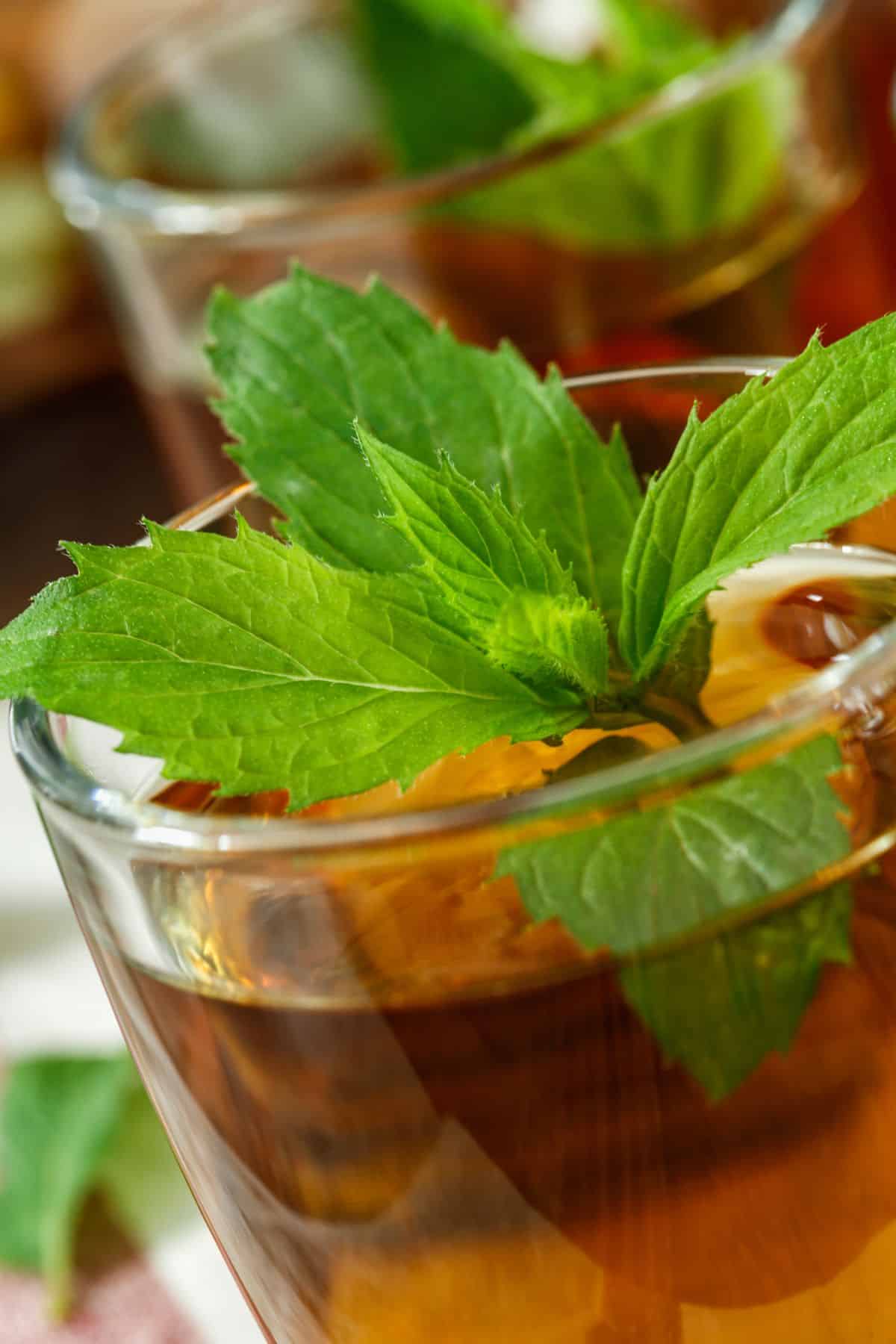 a glass of mint tea with a sprig of mint on top.