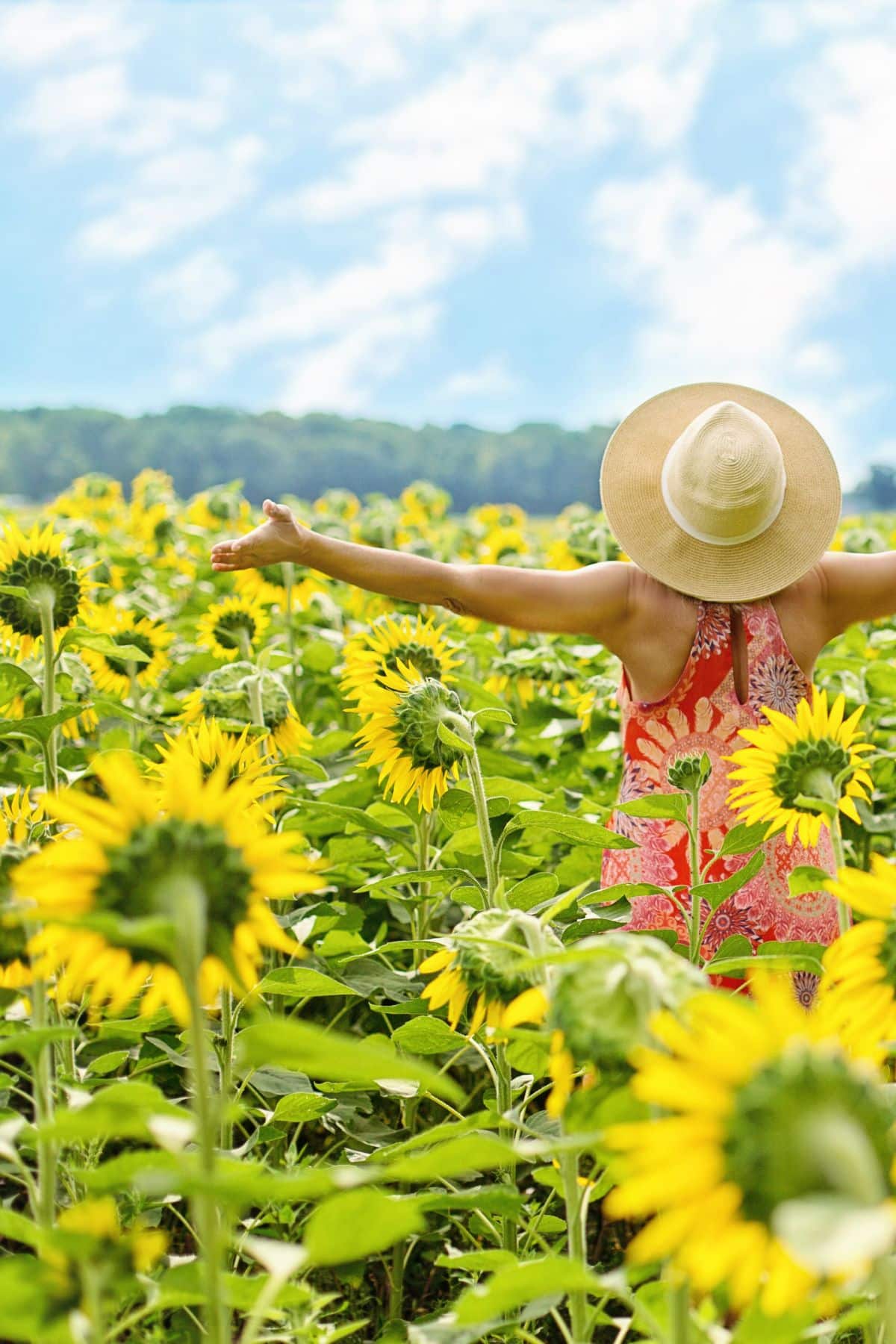a woman standing with her arms out in a sunflower field.