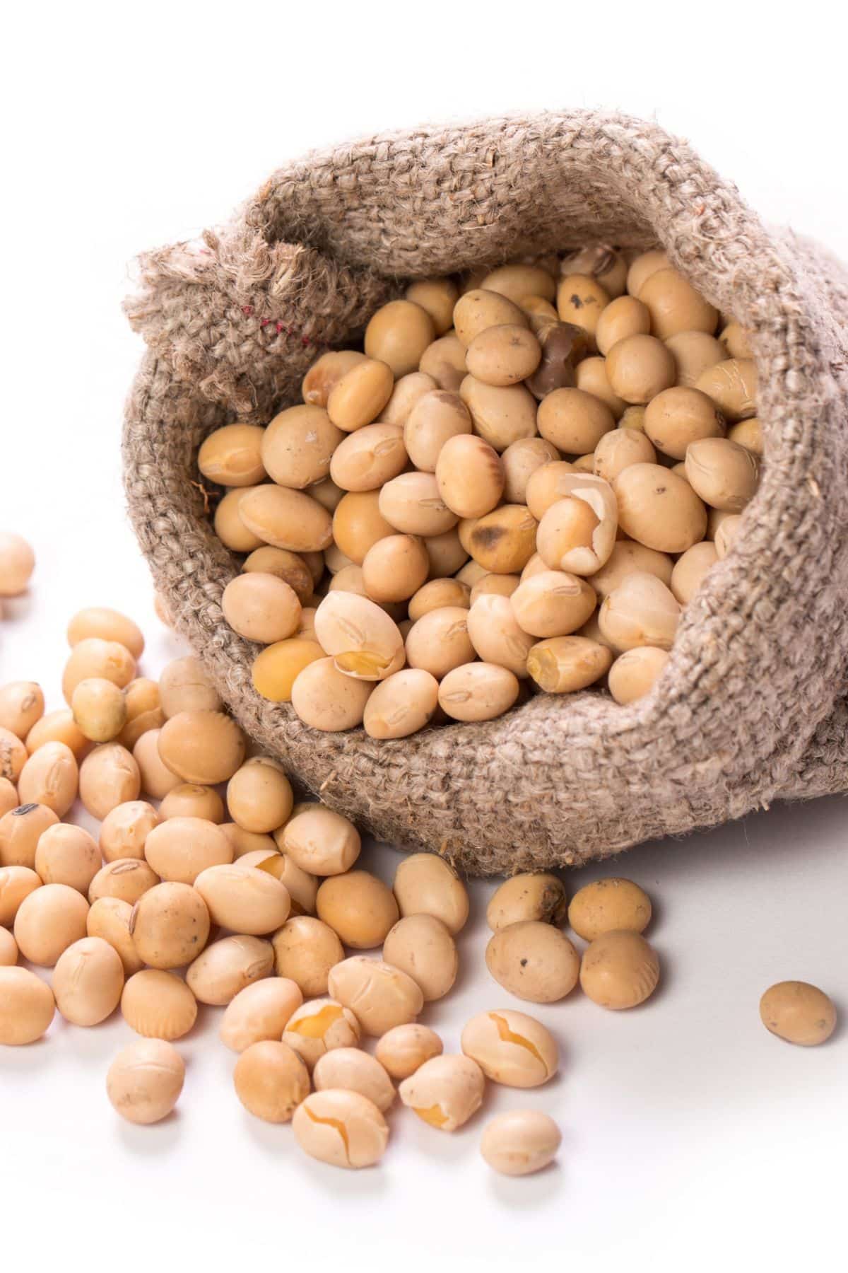 a bag of soy beans spilling out onto a white surface.