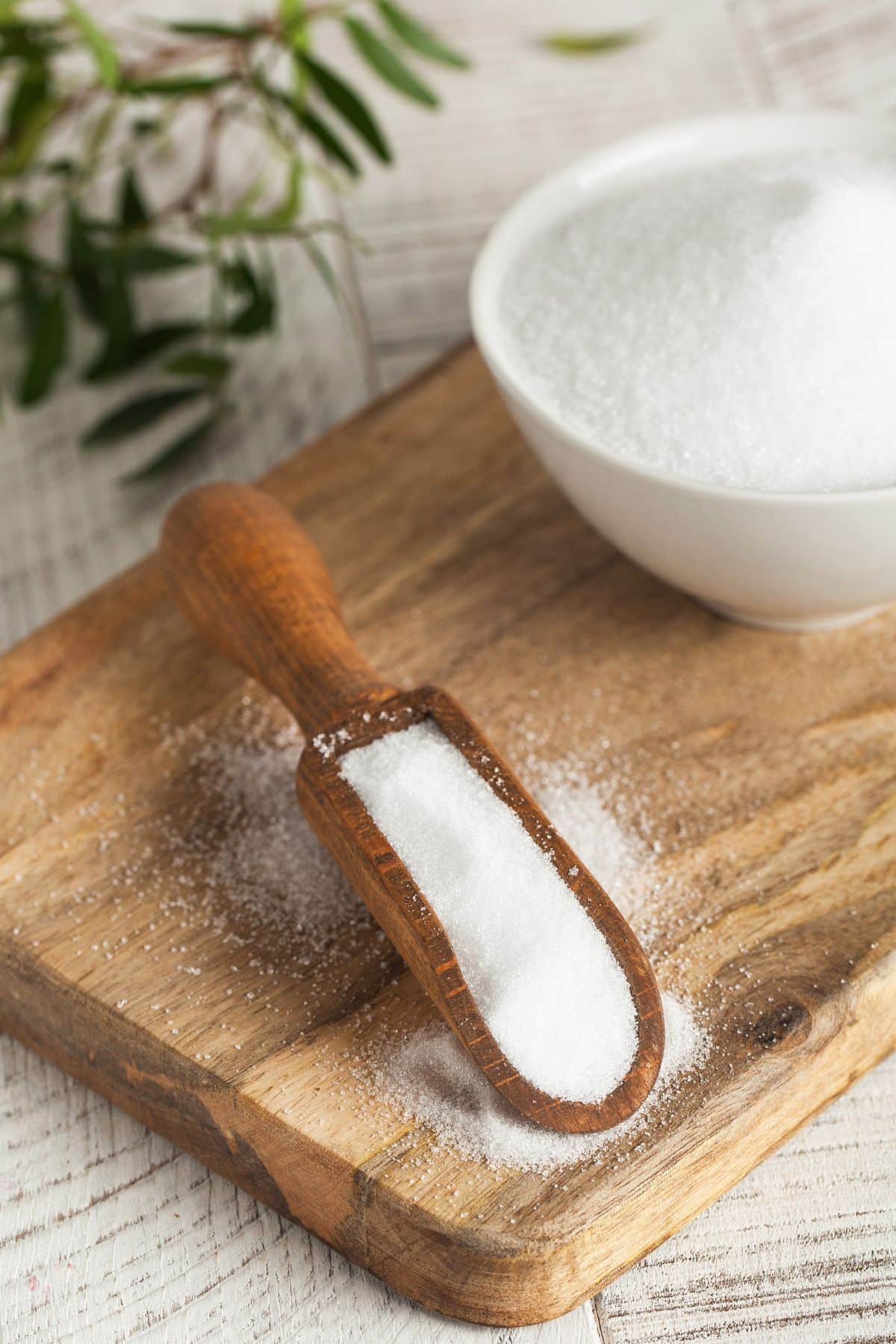 powdered erythritol in a wooden spoon.