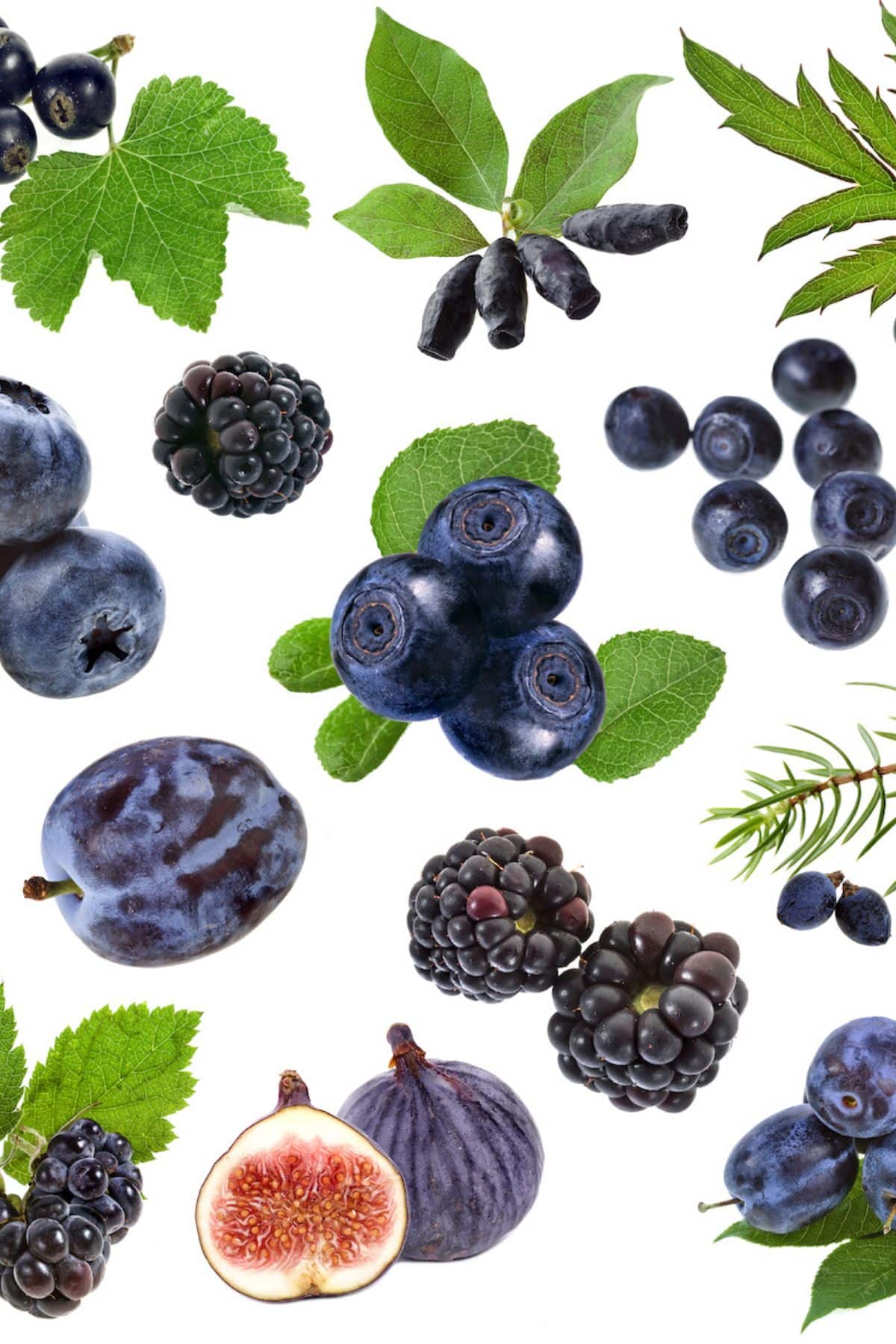 best blue fruits collage.
